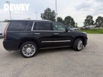 2017 Escalade Thumbnail 14
