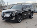 2020 Escalade Thumbnail 1