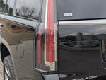 2020 Escalade Thumbnail 10