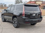 2020 Escalade Thumbnail 11