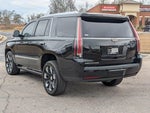 2020 Escalade Thumbnail 11