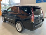 2019 Escalade Thumbnail 7