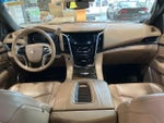2019 Escalade Thumbnail 26