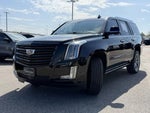 2019 Escalade Thumbnail 2