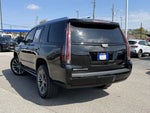 2019 Escalade Thumbnail 5