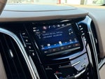 2019 Escalade Thumbnail 20
