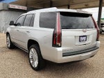 2019 Escalade Thumbnail 2