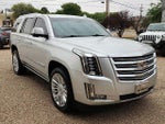 2019 Escalade Thumbnail 4