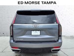 2021 Escalade Thumbnail 14
