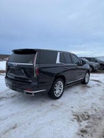 2022 Escalade Thumbnail 5