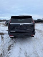 2022 Escalade Thumbnail 6