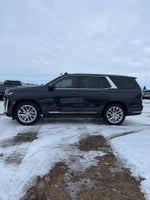 2022 Escalade Thumbnail 7