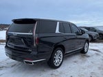 2022 Escalade Thumbnail 5