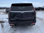 2022 Escalade Thumbnail 6