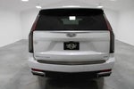 2021 Escalade Thumbnail 8