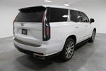 2021 Escalade Thumbnail 9