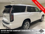 2023 Escalade Thumbnail 5