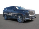2023 Escalade Thumbnail 7