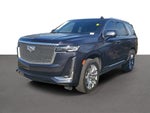2023 Escalade Thumbnail 9