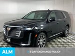 2021 Escalade Thumbnail 20