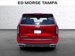 2023 Escalade Thumbnail 4