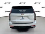 2024 Escalade Thumbnail 6