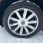 2024 Escalade Thumbnail 23