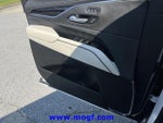 2021 Escalade Thumbnail 16