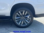 2021 Escalade Thumbnail 37