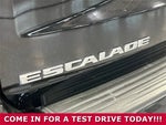 2021 Escalade Thumbnail 35