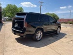 2022 Escalade Thumbnail 4