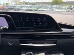 2023 Escalade Thumbnail 30