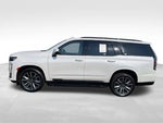 2021 Escalade Thumbnail 3