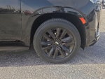 2023 Escalade Thumbnail 7