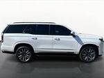 2023 Escalade Thumbnail 4