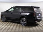 2023 Escalade Thumbnail 16