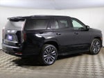 2023 Escalade Thumbnail 17