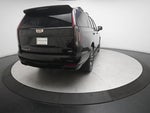 2023 Escalade Thumbnail 13