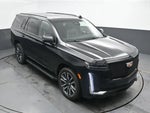 2023 Escalade Thumbnail 37