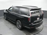 2023 Escalade Thumbnail 41