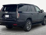 2021 Escalade Thumbnail 2