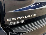 2021 Escalade Thumbnail 8