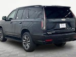 2021 Escalade Thumbnail 13