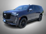 2023 Escalade Thumbnail 1