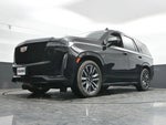 2023 Escalade Thumbnail 3