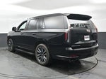 2023 Escalade Thumbnail 17