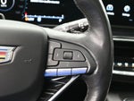 2023 Escalade Thumbnail 19