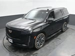 2023 Escalade Thumbnail 41