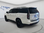 2024 Escalade Thumbnail 6