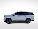 2021 Escalade Thumbnail 5